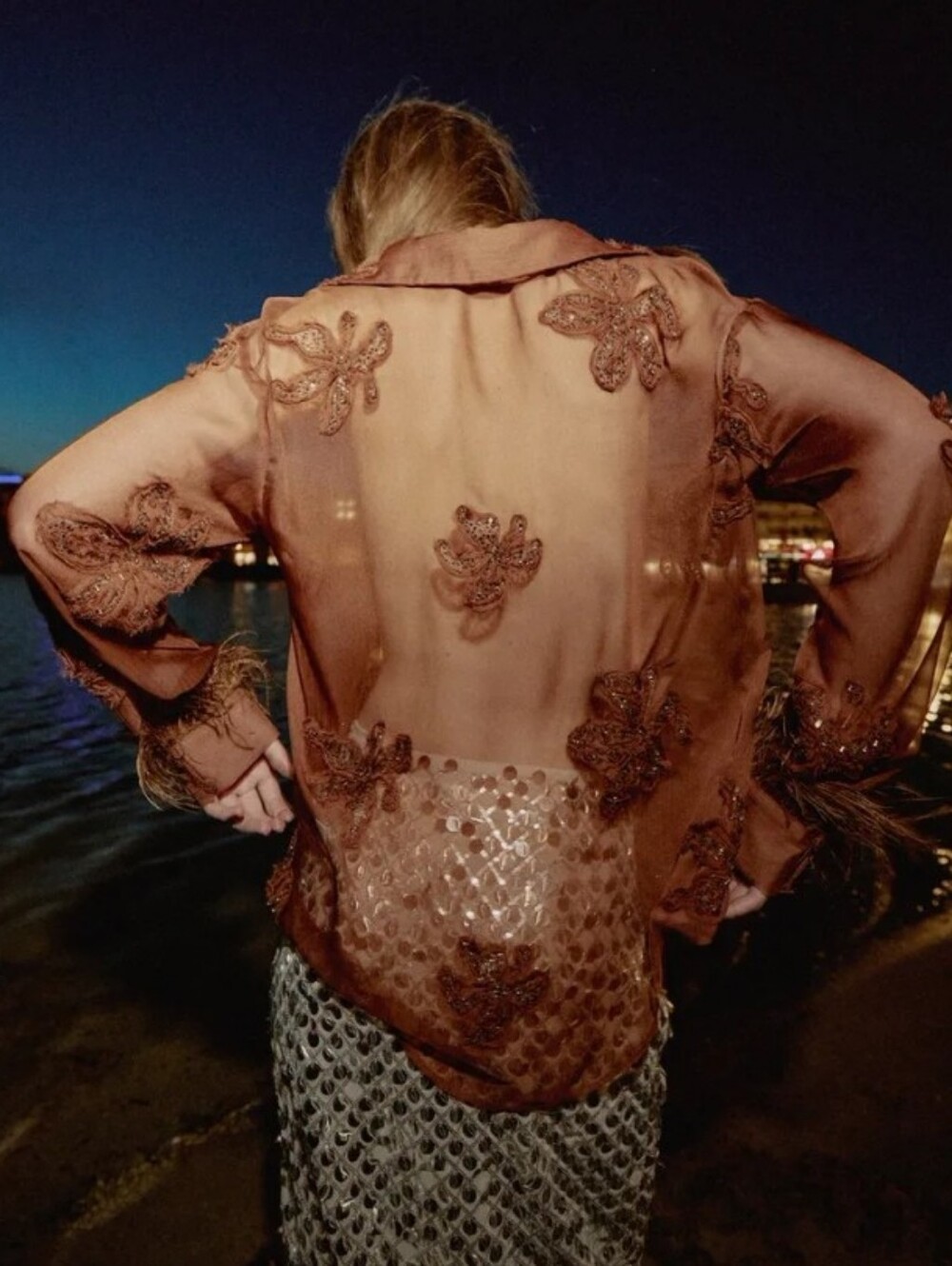 Zara Semi-sheer Floral Beaded Embroidery Feathered Long Sleeve With Front Button - Picture 5 of 11